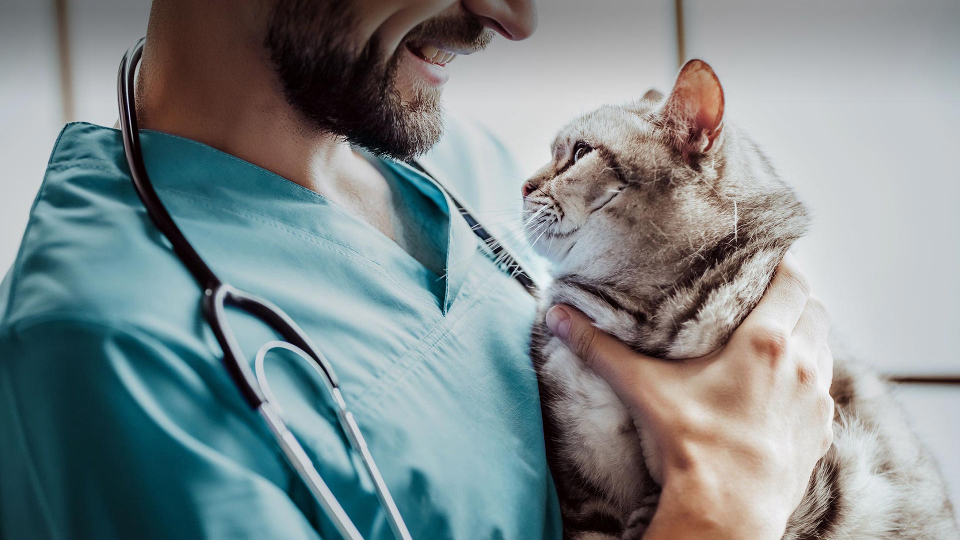 Savaştepe Veteriner